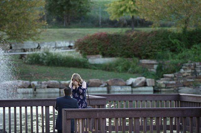 Picture of The Proposal