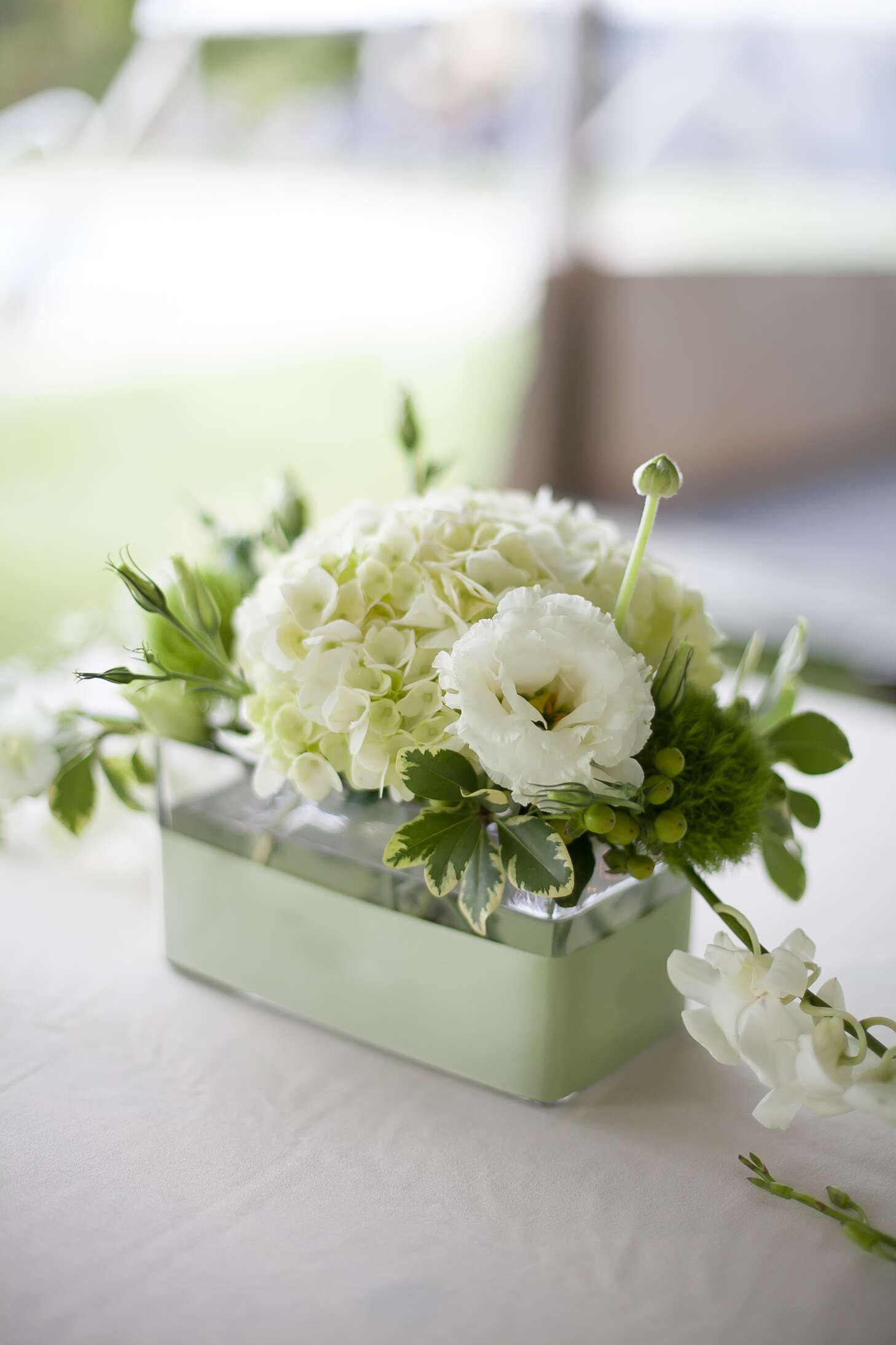 White Lisianthus and Hydrangea Centerpiece