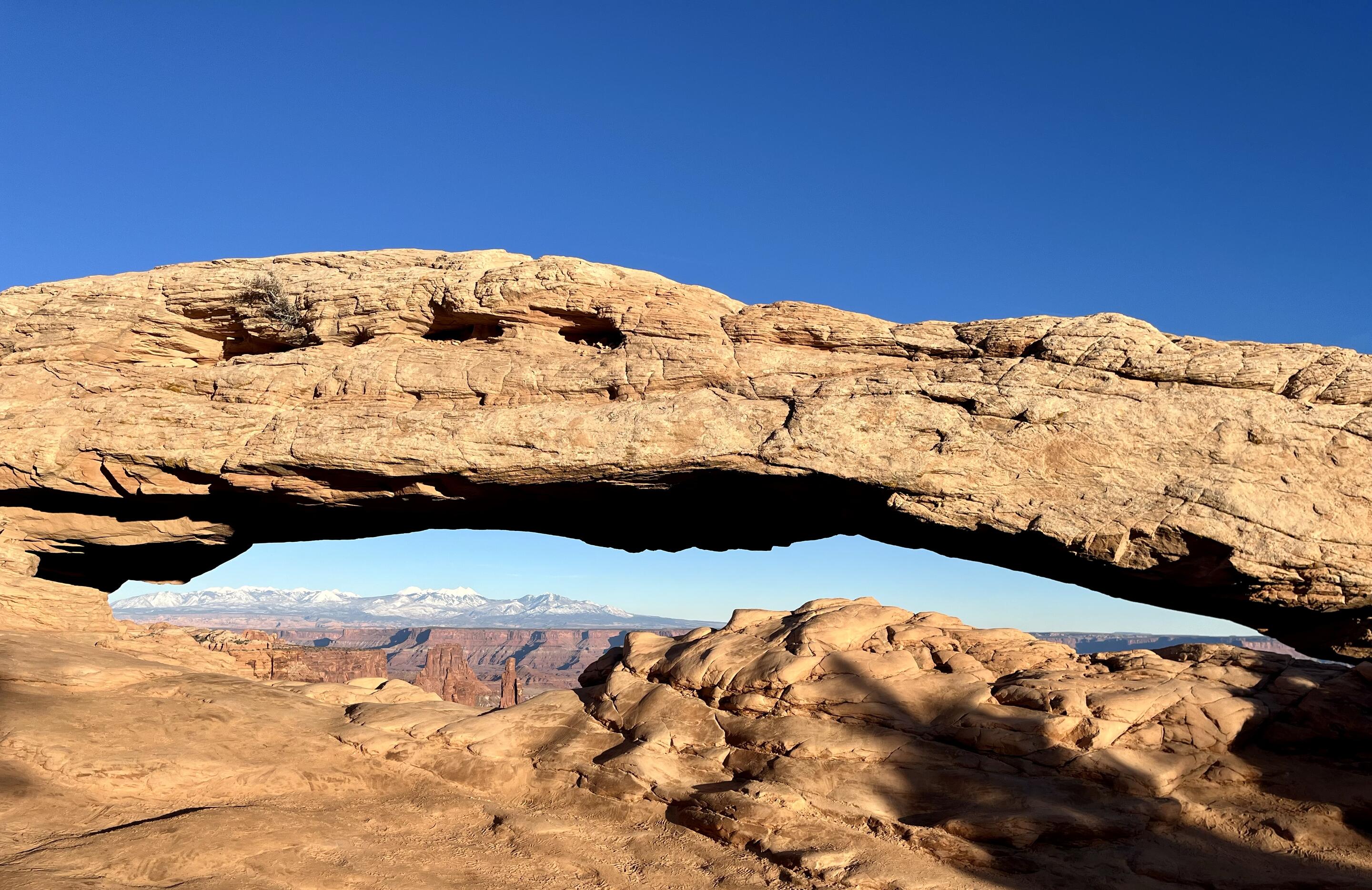 Picture of Canyonlands National Park