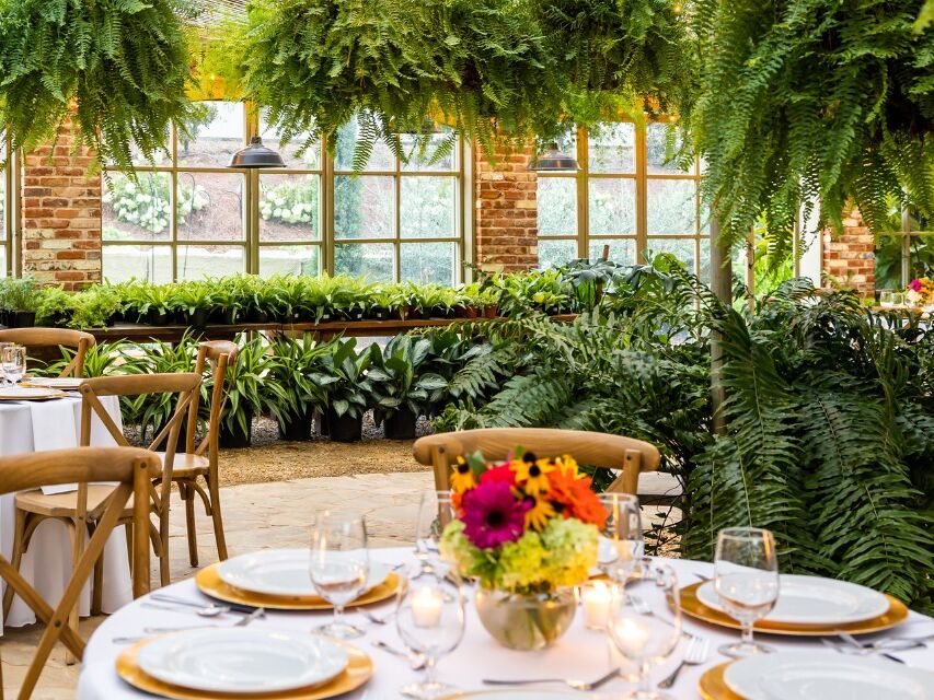 Picture of Botanic