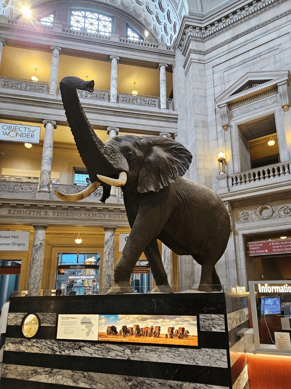 Picture of Smithsonian National Museum of Natural History