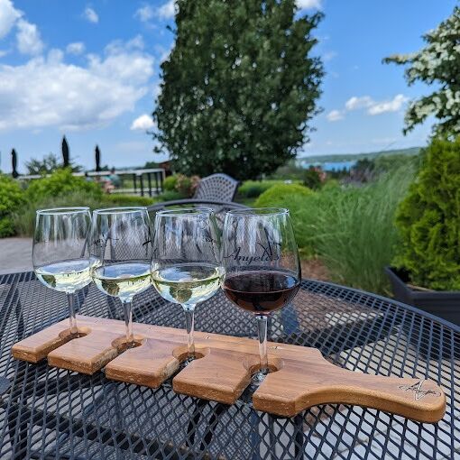Picture of Anyela's Vineyards