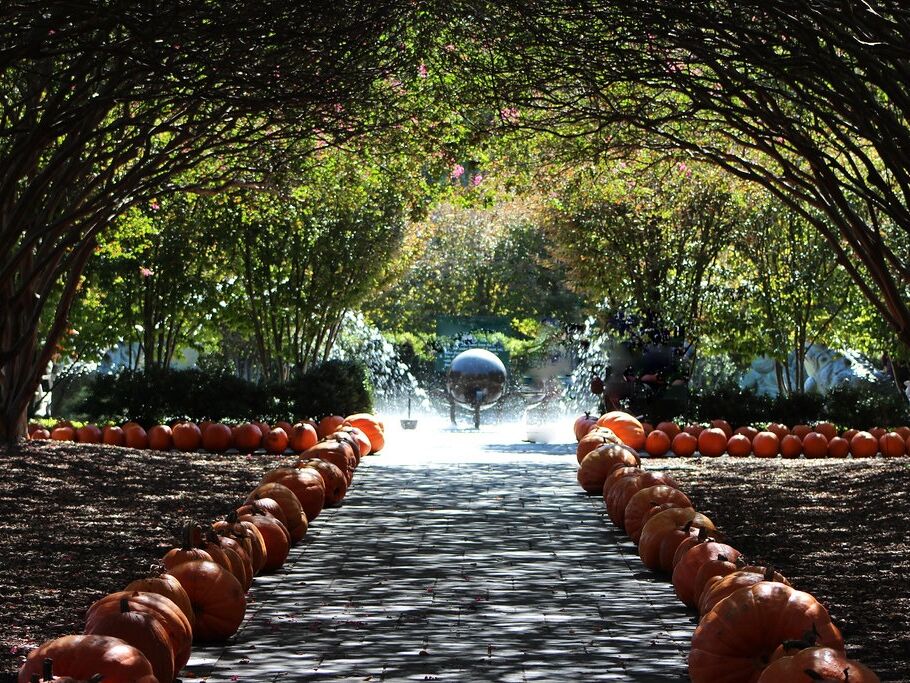 Picture of The Dallas Arboretum and Botanical Garden
