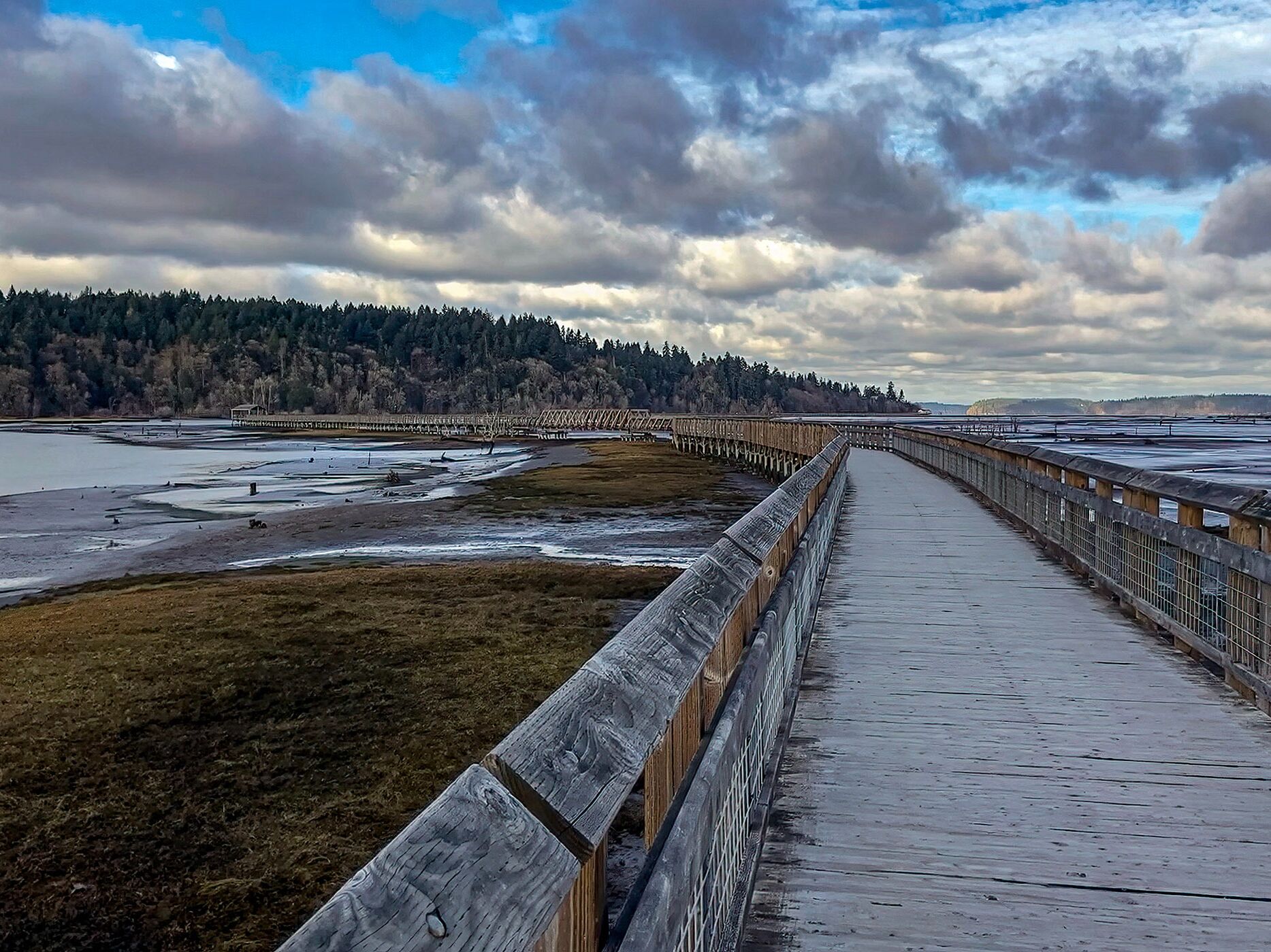 Picture of Billy Frank Jr. Nisqually National Wildlife Refuge