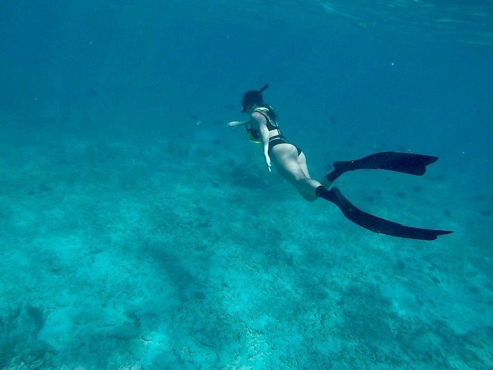 Picture of Pirates Cove Watersports