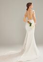 AW Bridal AW Roselyn Wedding Dress Mermaid Wedding Dress - thumbnail - 4