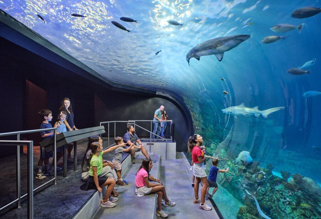 Picture of Kansas City Zoo & Aquarium