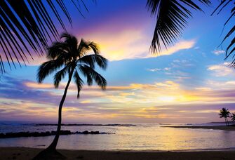 The 13 Most Romantic Beaches in the US
