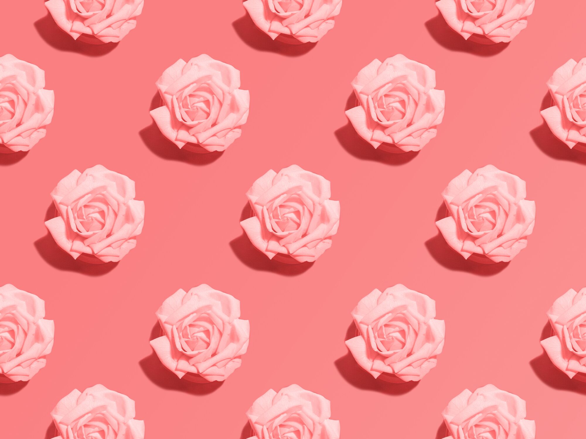 We Tested a Rose Toy Vibrator. It's Good.