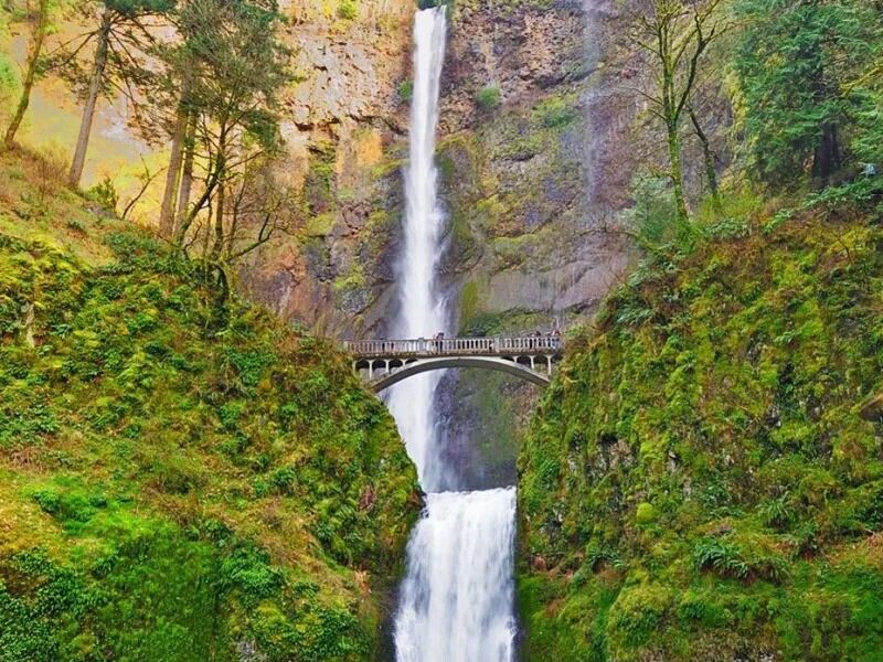 Picture of Multnomah Falls