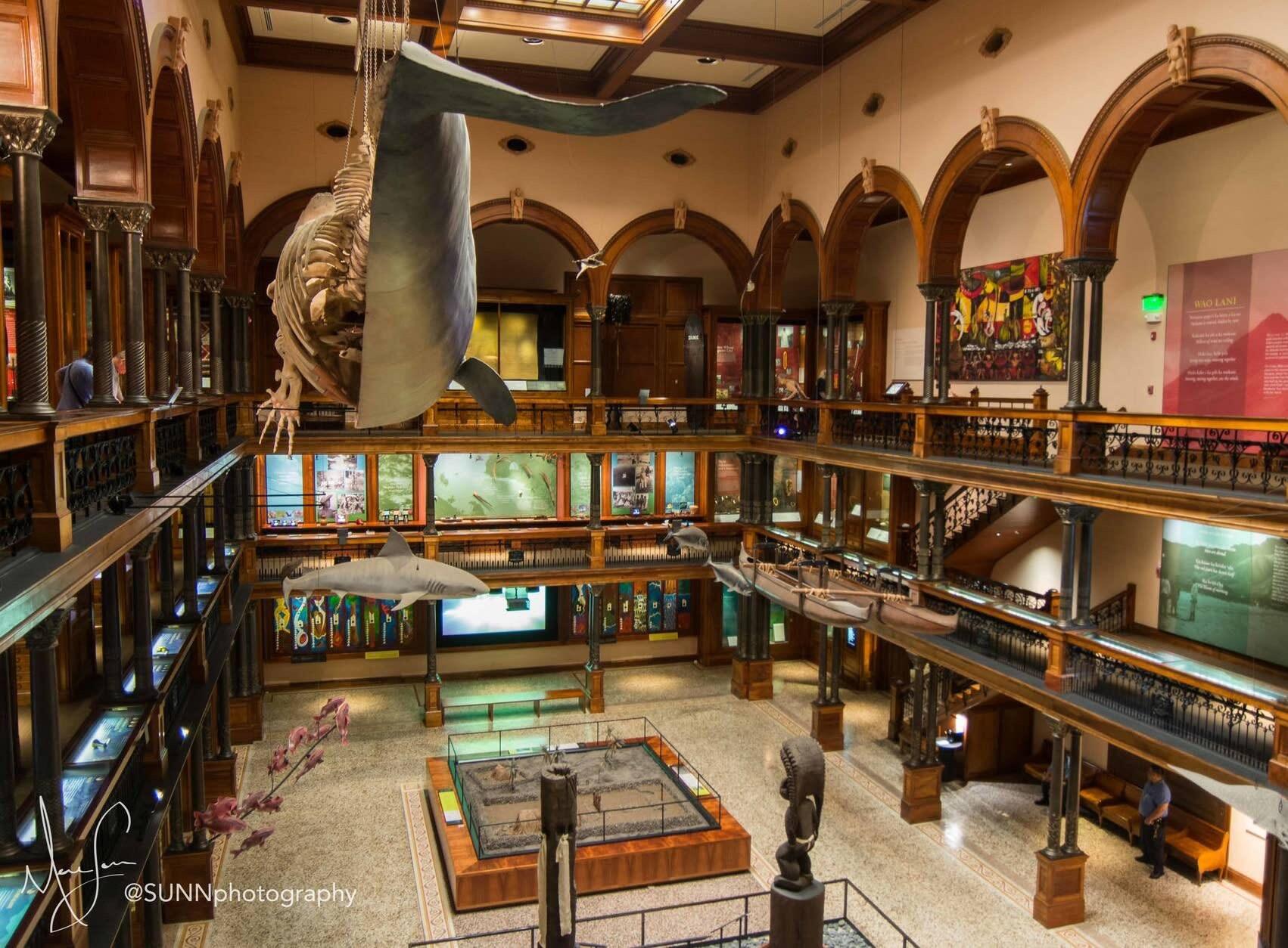 Picture of Bishop Museum