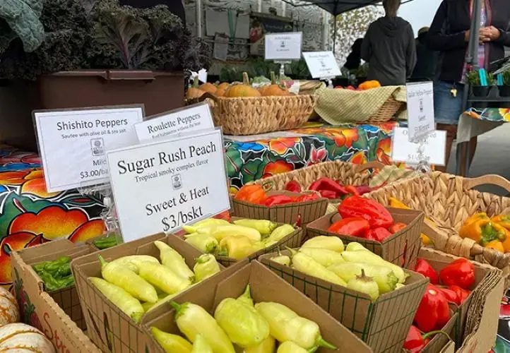 Picture of Aptos Farmers Market at Cabrillo College