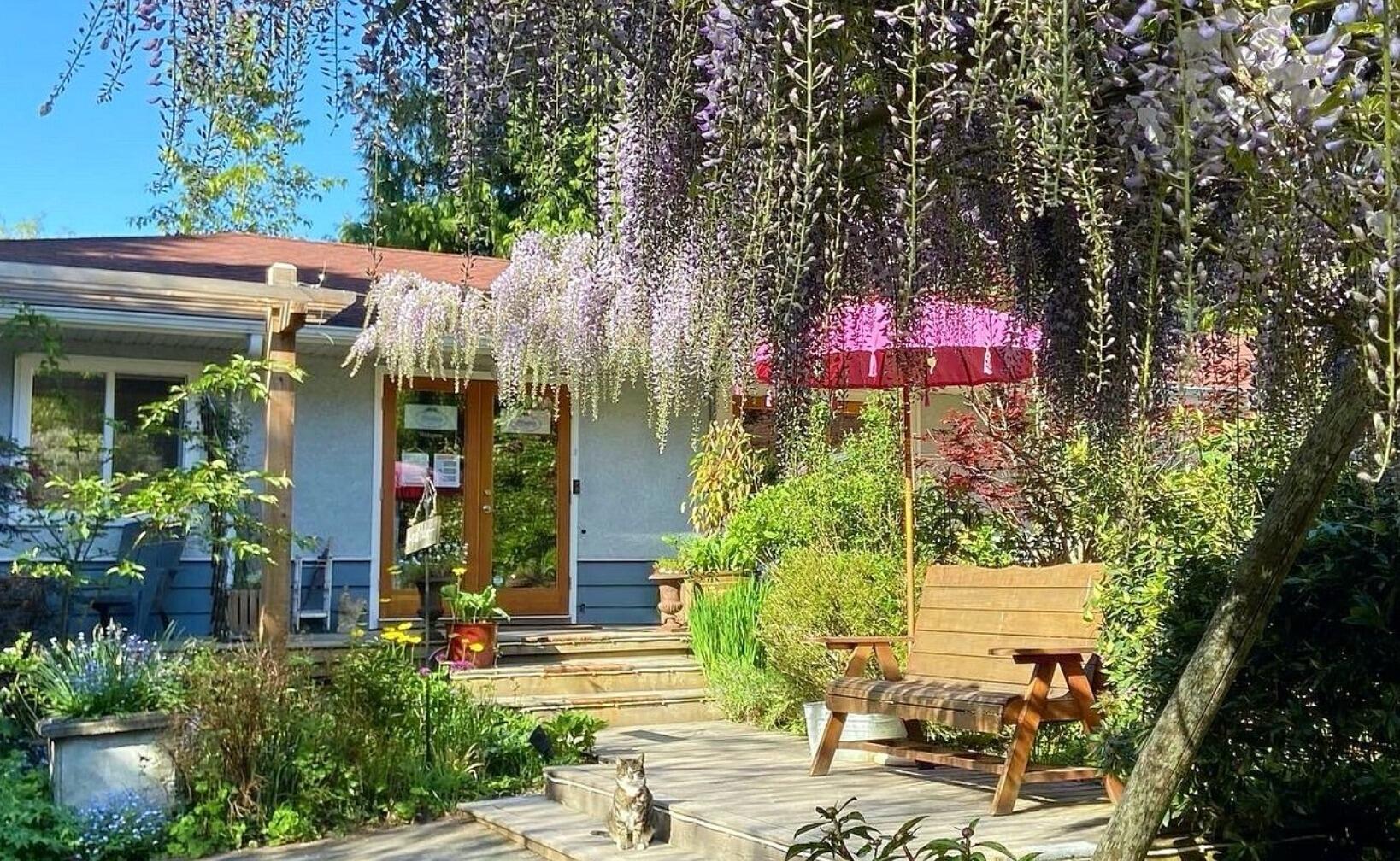 Picture of Wisteria Guest House