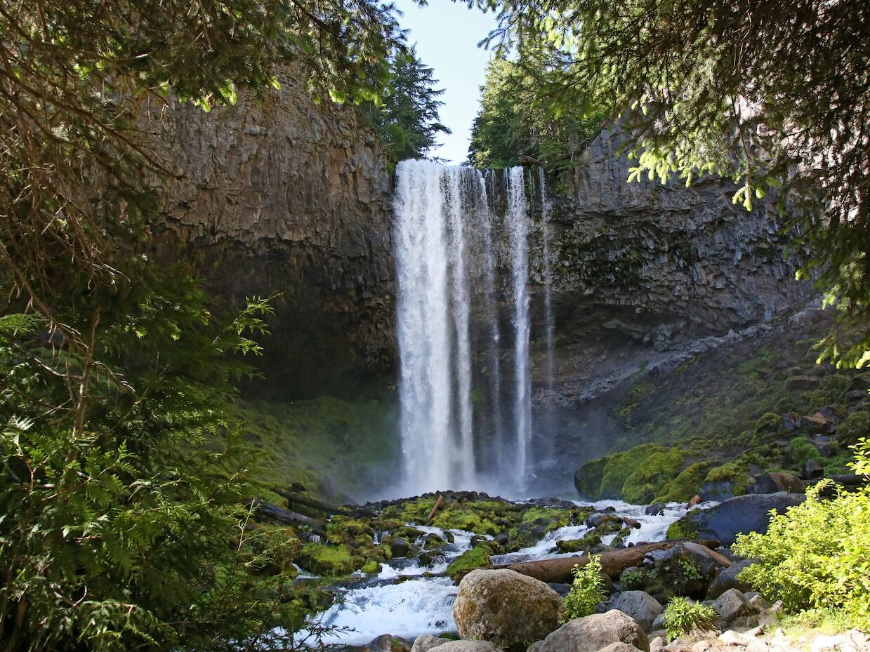 Picture of Tamanawas Falls Trailhead