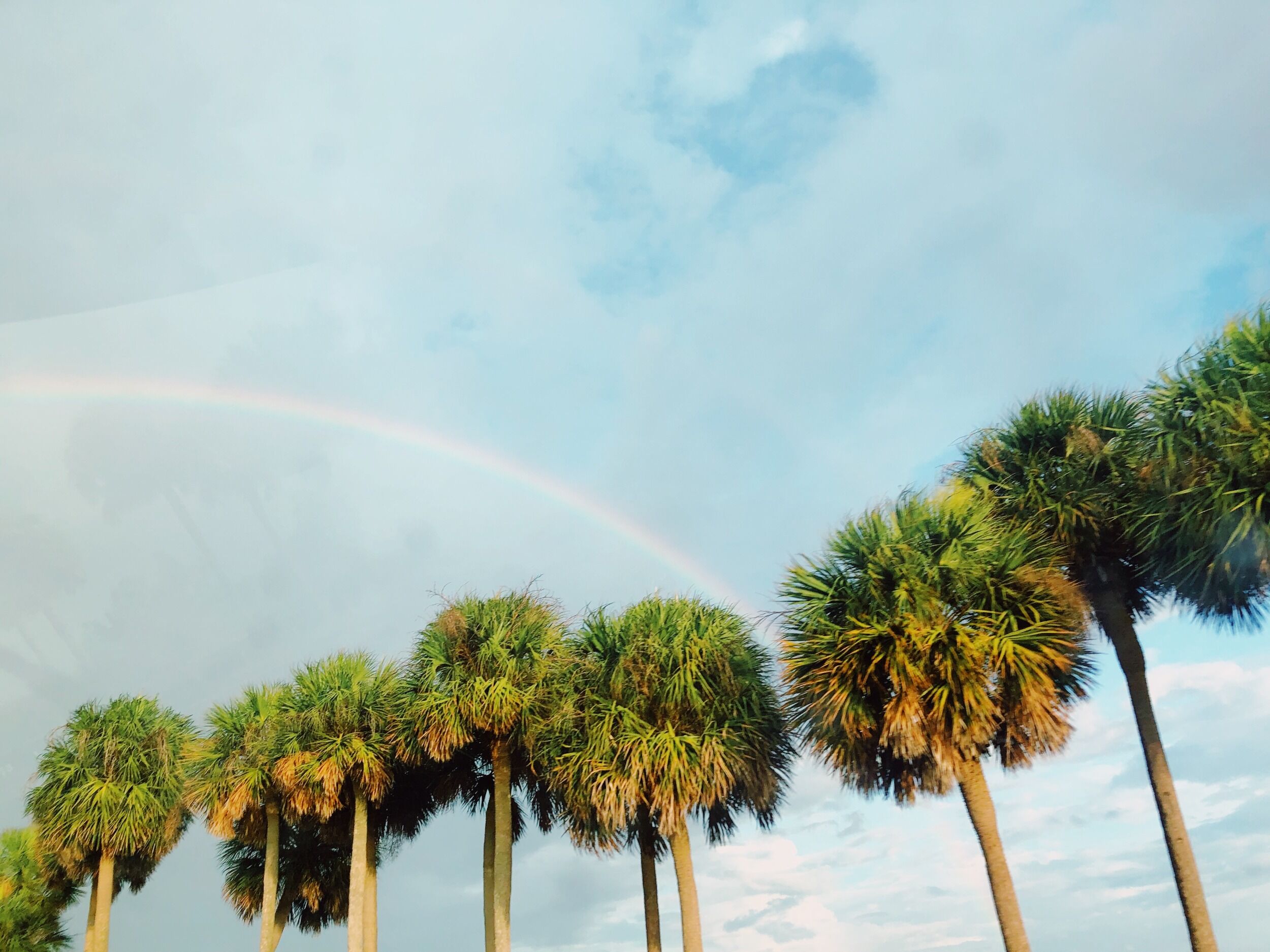 Picture of Beach Day