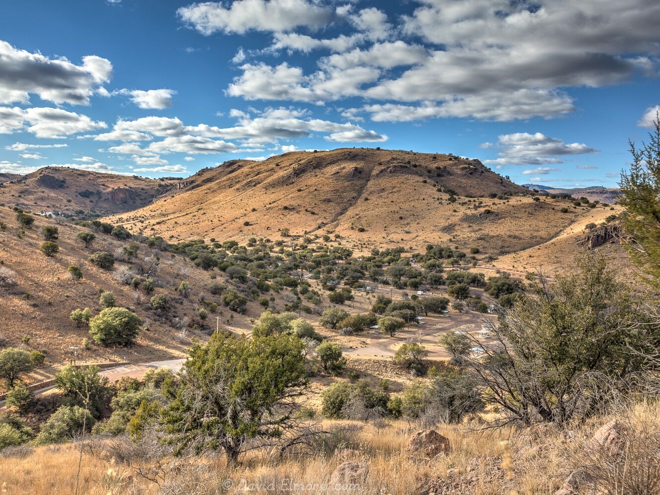 Picture of Davis Mountains State Park