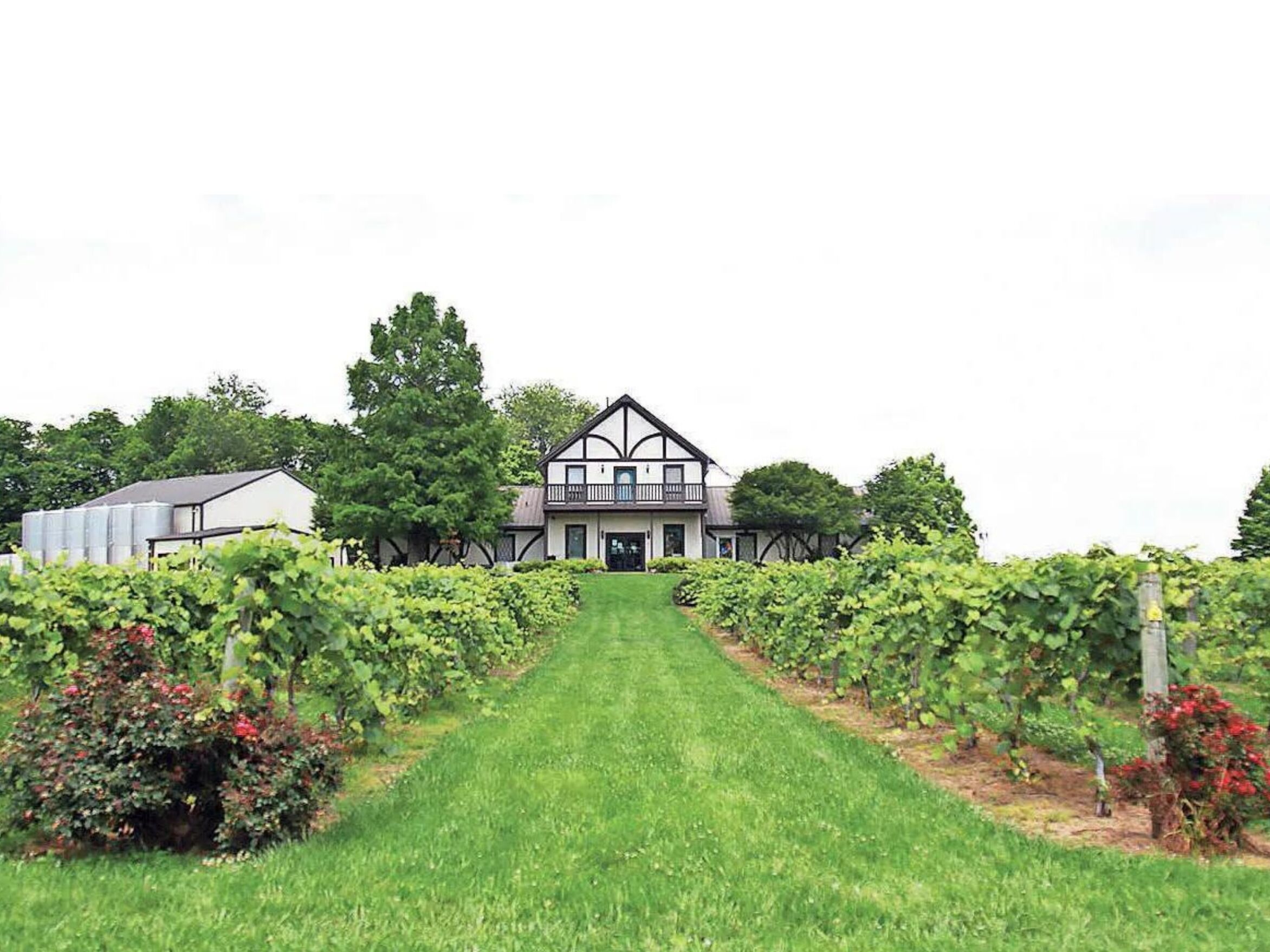 Picture of Beachaven Vineyards & Winery