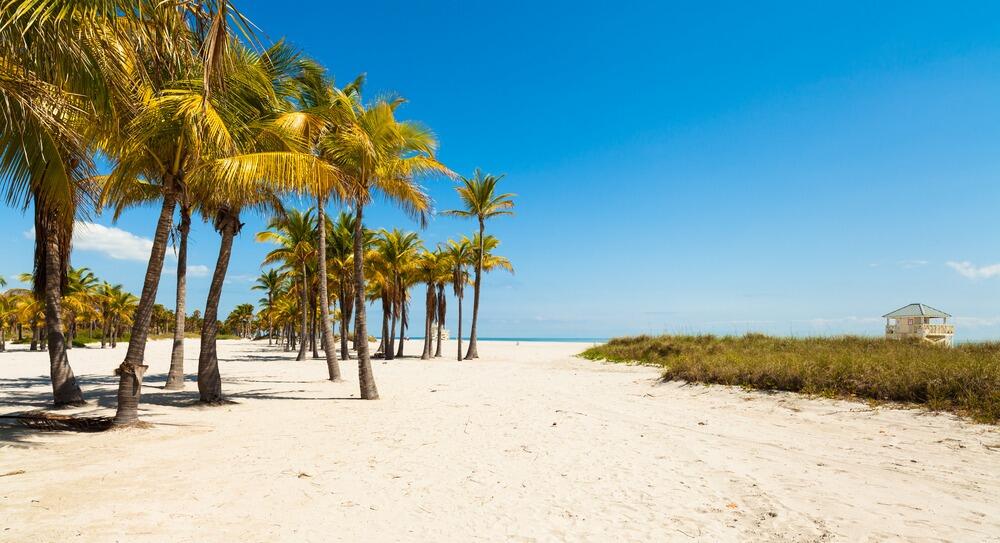 Picture of Crandon Park