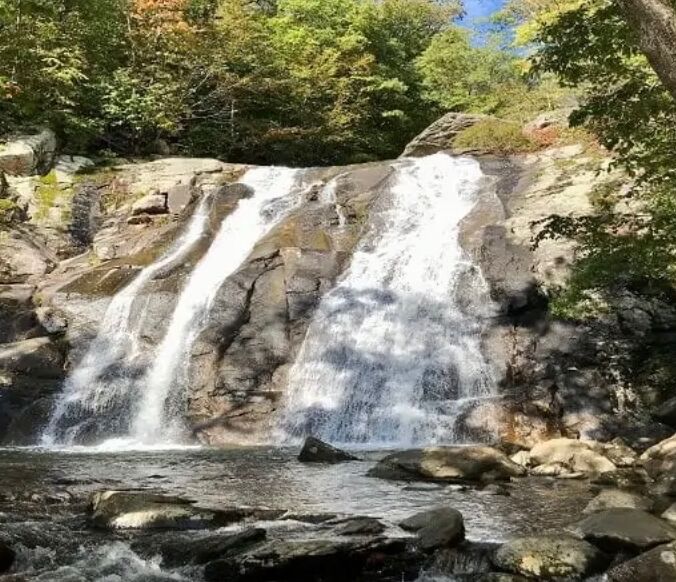 Picture of Whiteoak Canyon Falls Lower Trailhead