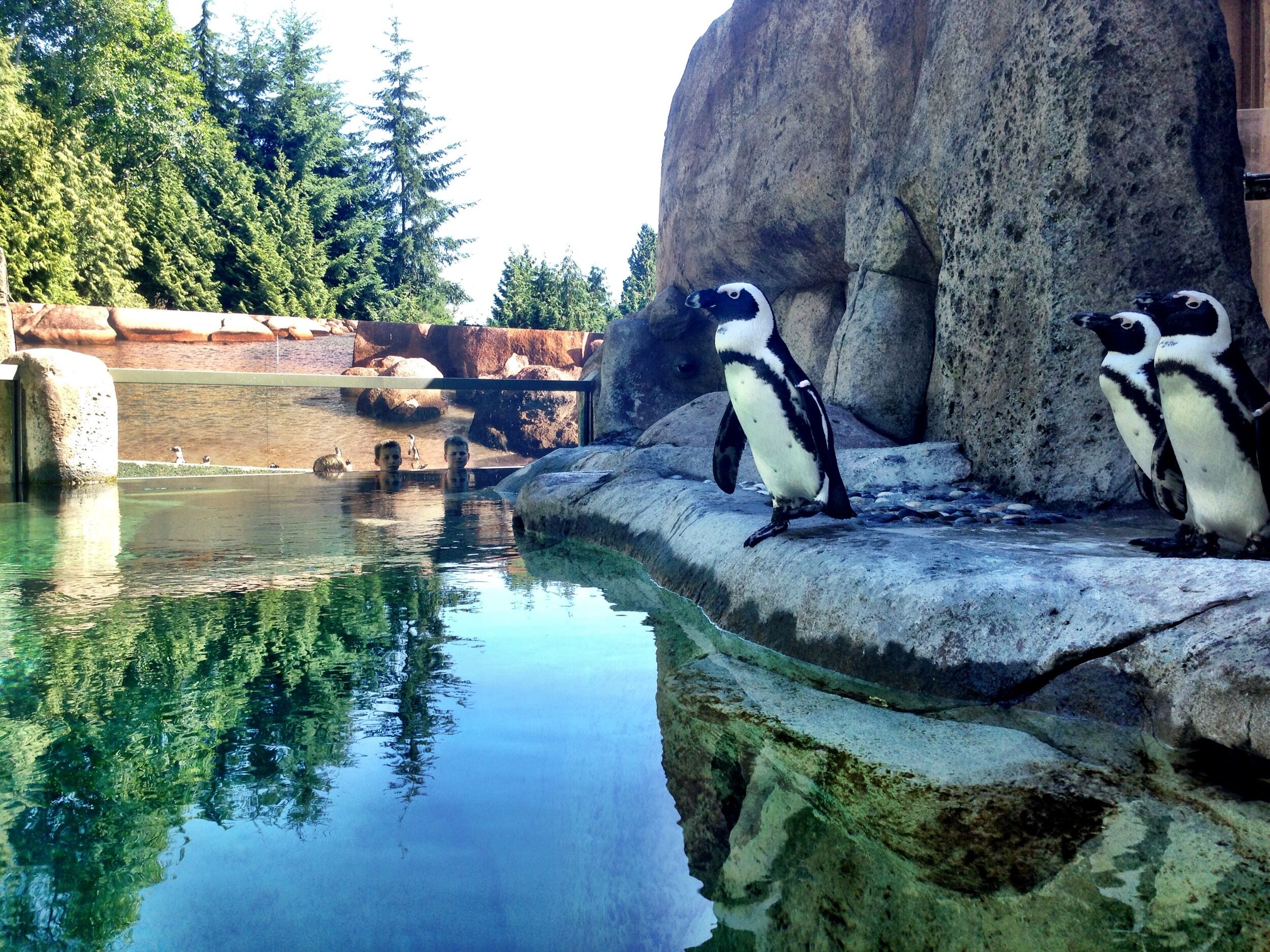 Picture of Vancouver Aquarium