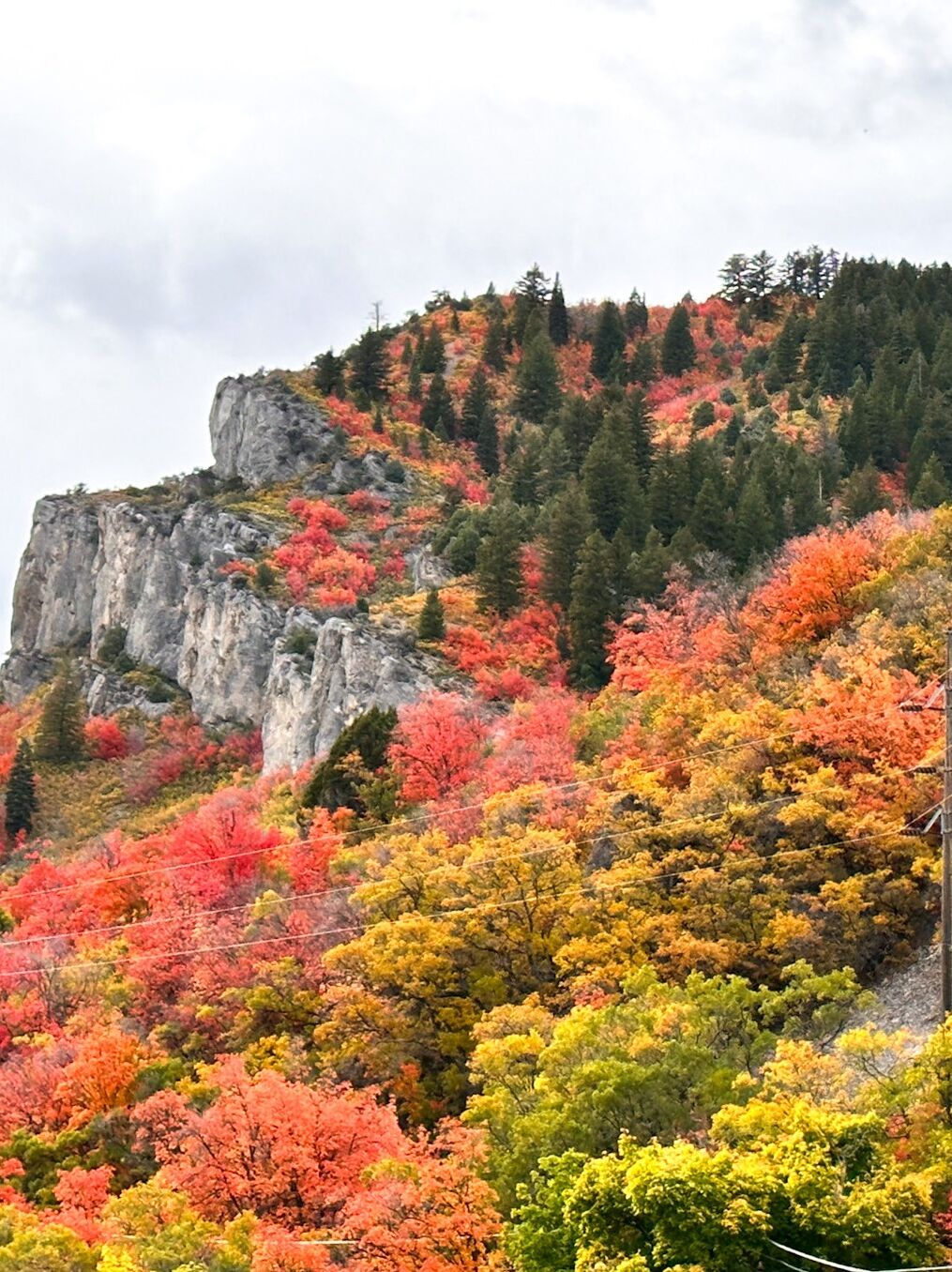 Picture of Fall Color Drives