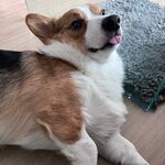 Rudy