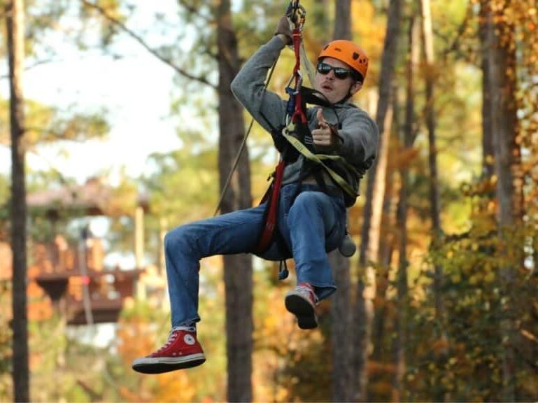 Picture of Boler Mountain Tree top adventure