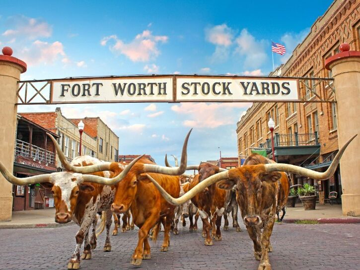 Picture of Fort Worth Stockyards