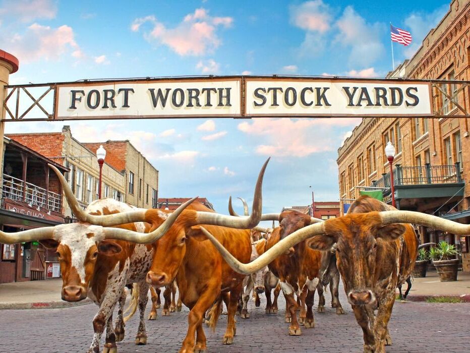 Picture of City of Fort Worth