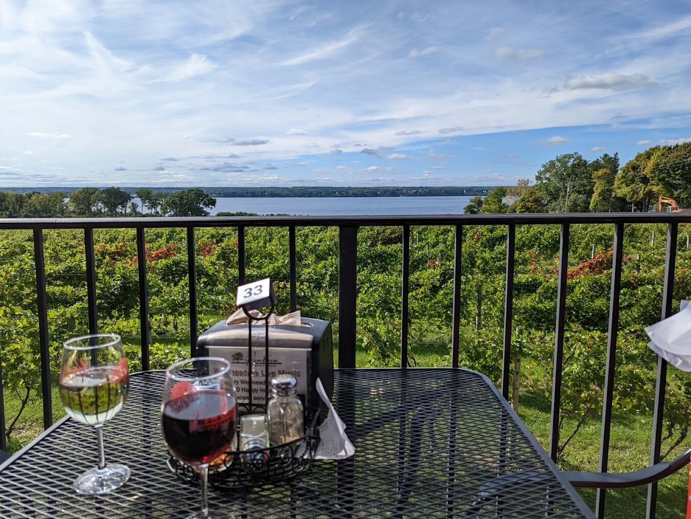 Picture of Have Some Wine at Ventosa Vineyards