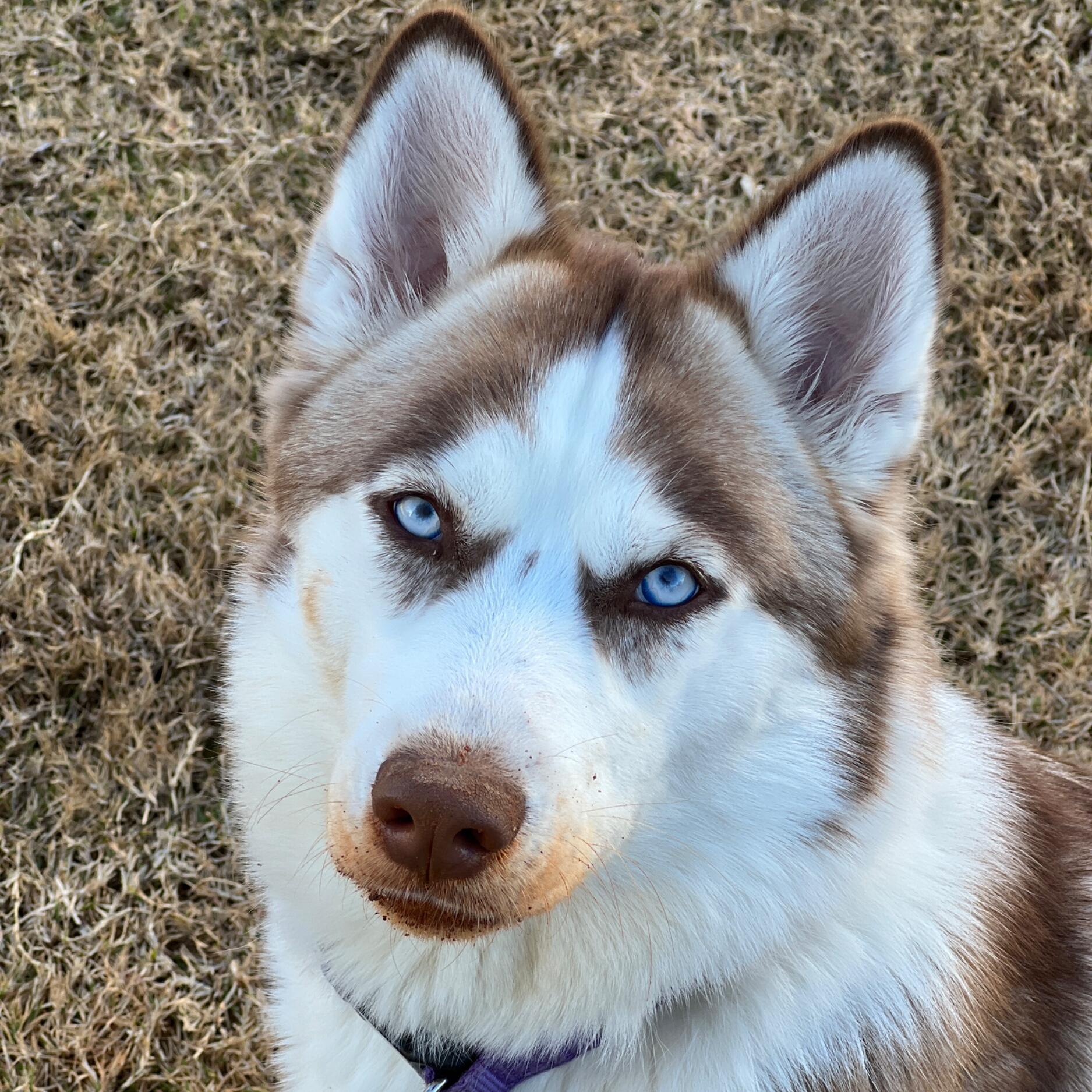 Molly