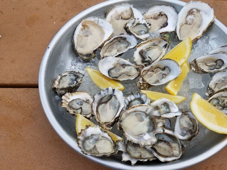 Picture of Taylor Shellfish Oyster Bar