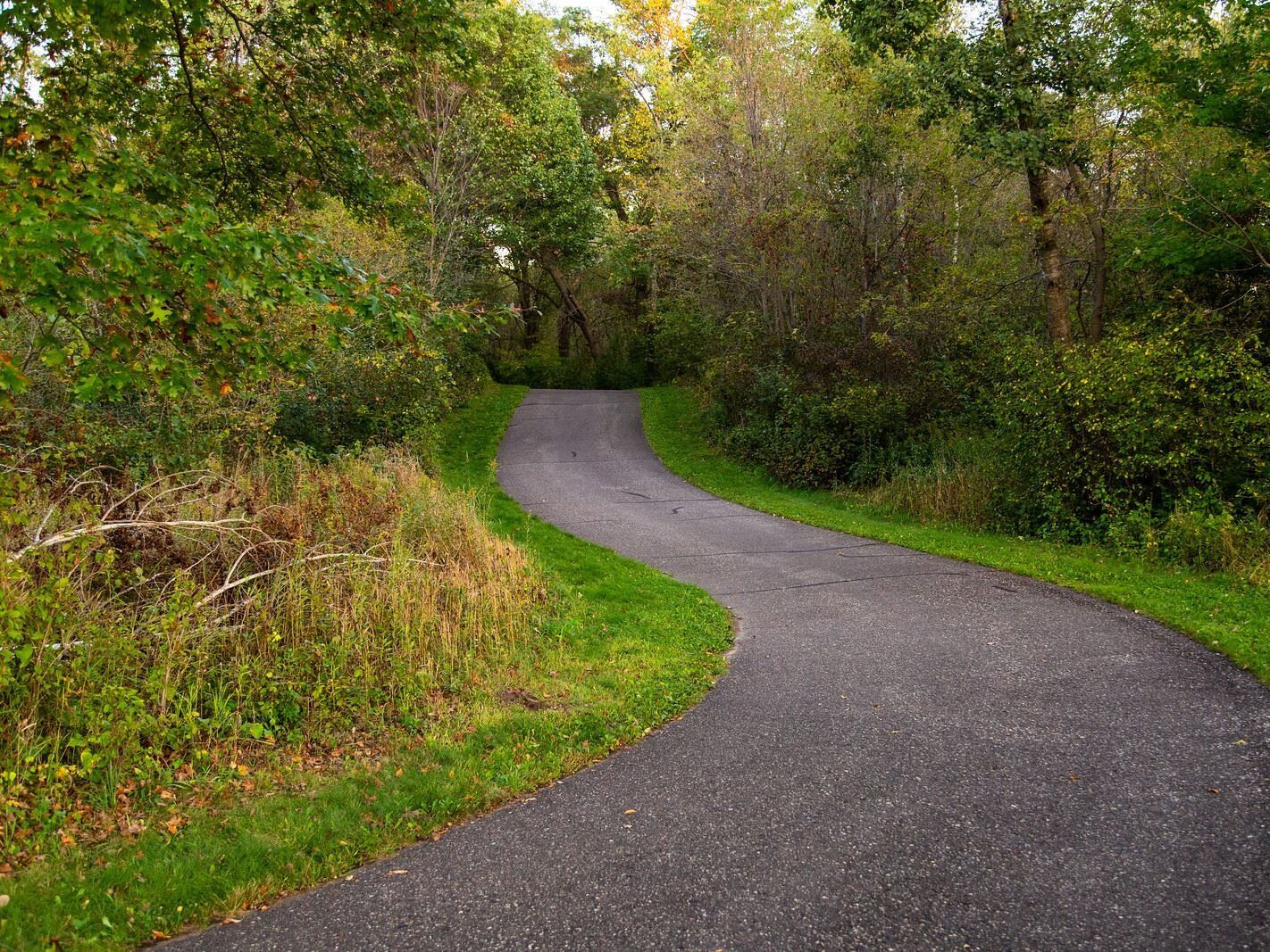 Picture of Woodland Trails Regional Park