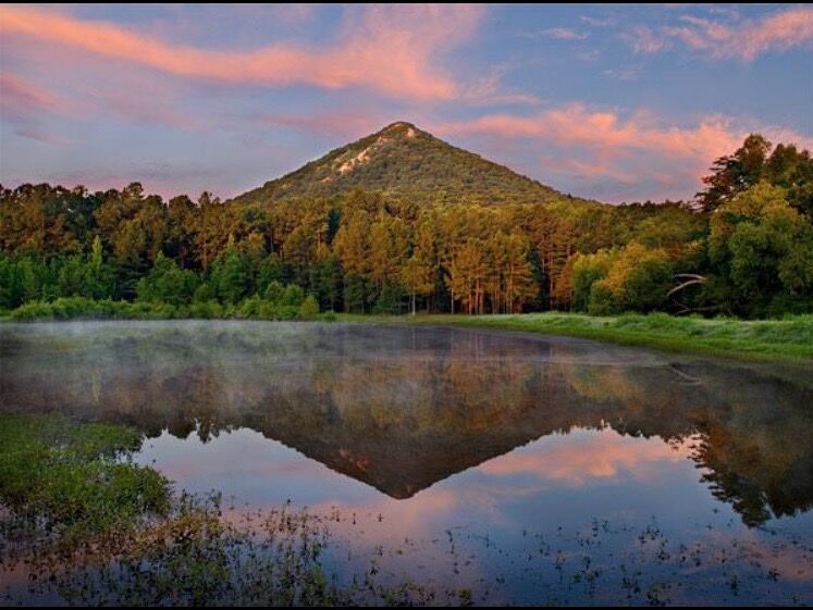 Picture of Pinnacle Mountain State Park