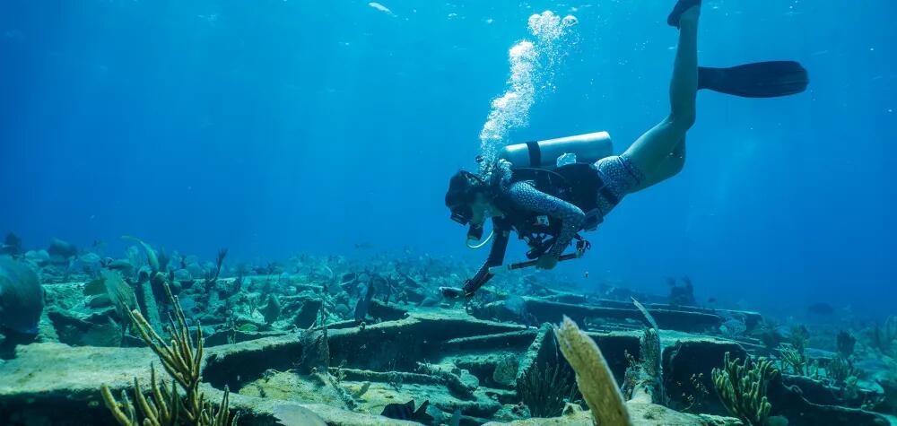 Picture of Scuba Diving 