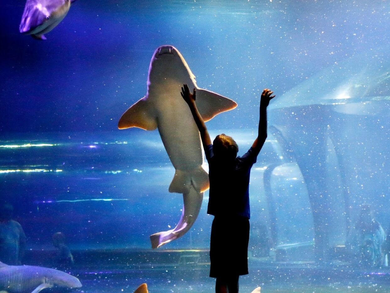 Picture of Oklahoma Aquarium