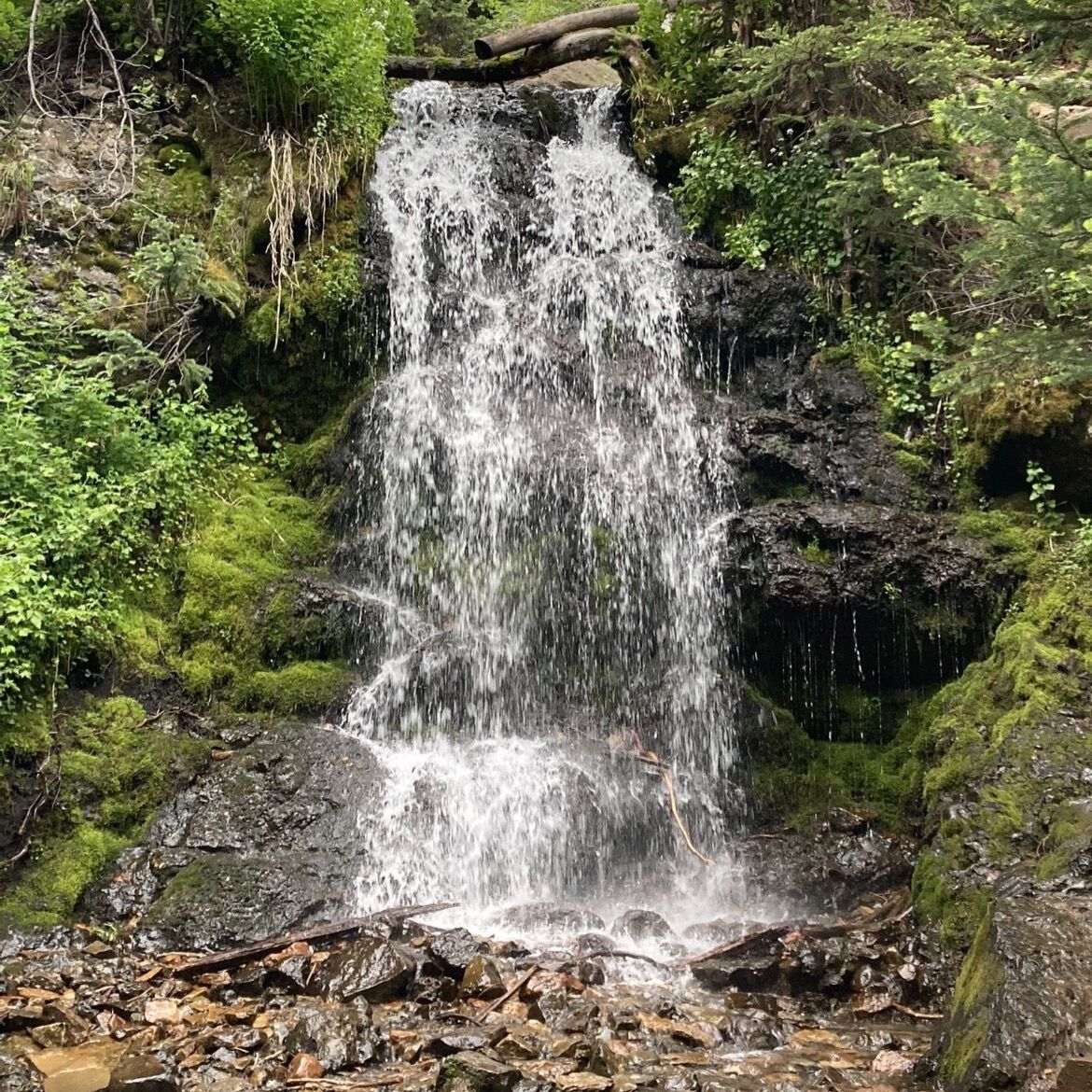 Picture of Waterfall Trail Trailhead