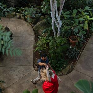 Gallery Photo 29