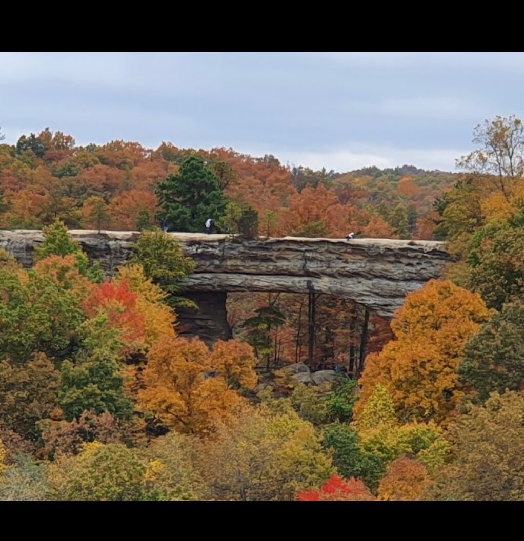 Picture of Natural Bridge State Park