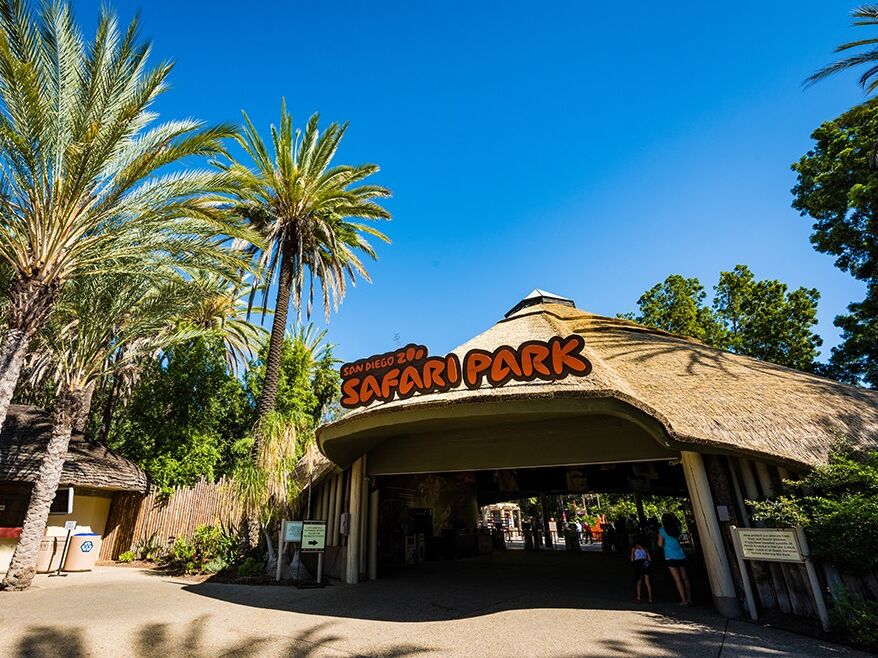 Picture of San Diego Zoo Safari Park