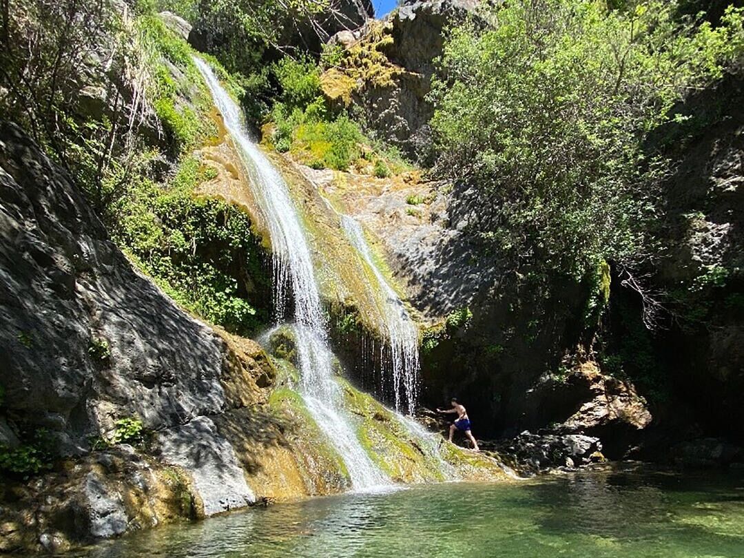 Picture of Salmon Creek Falls