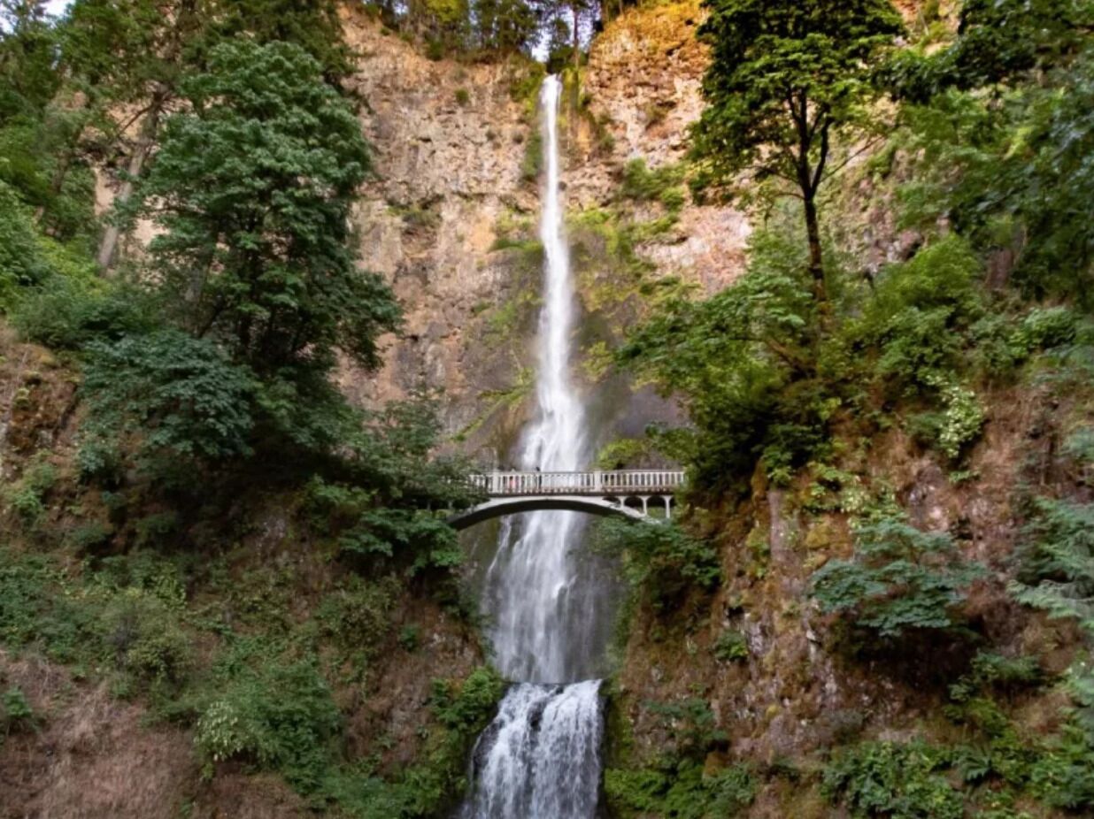 Picture of Multnomah Falls
