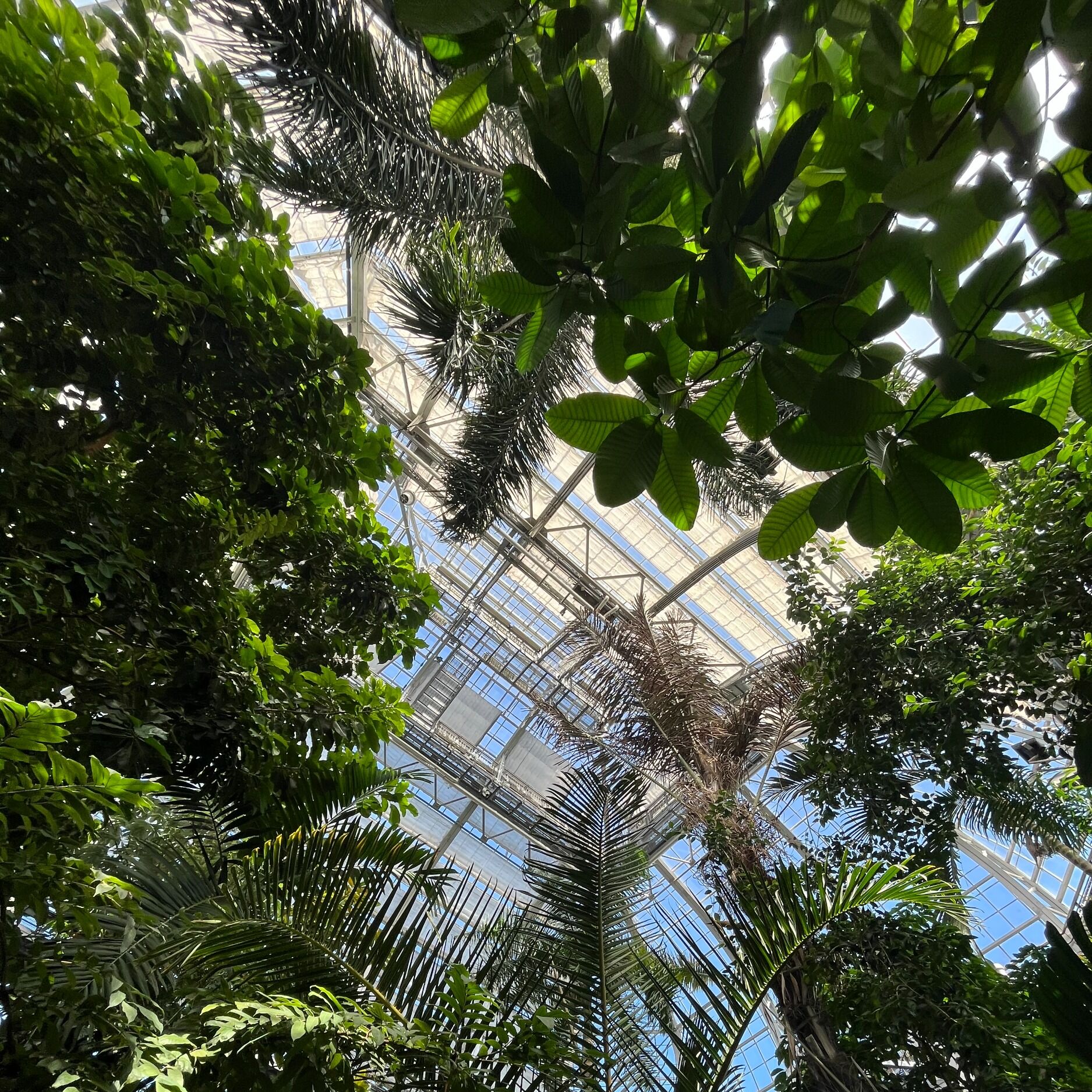 Picture of Lauritzen Gardens