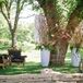 Untraditional Vintage Ceremony Chairs
