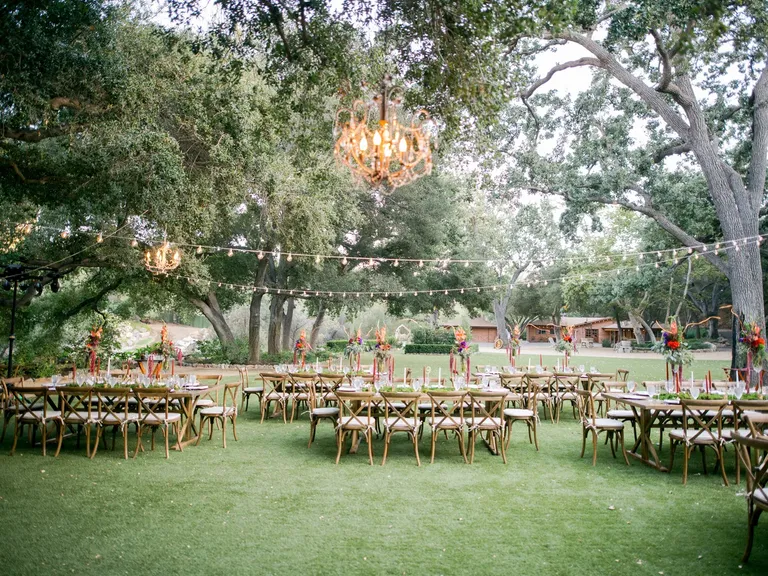 Chandelier in the Trees wedding lighting idea