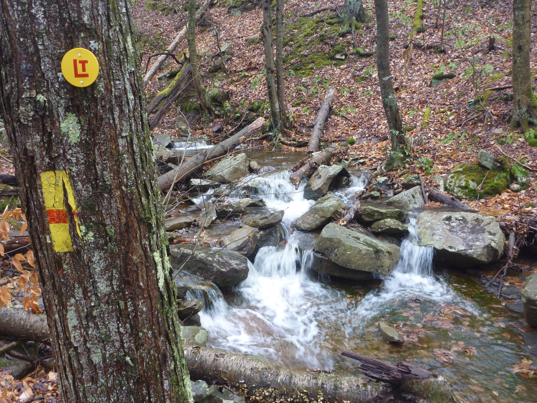 Picture of Loyalsock Trail Hiking