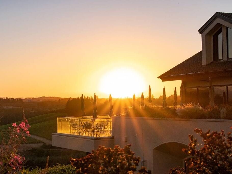 Picture of Willamette Valley Vineyards