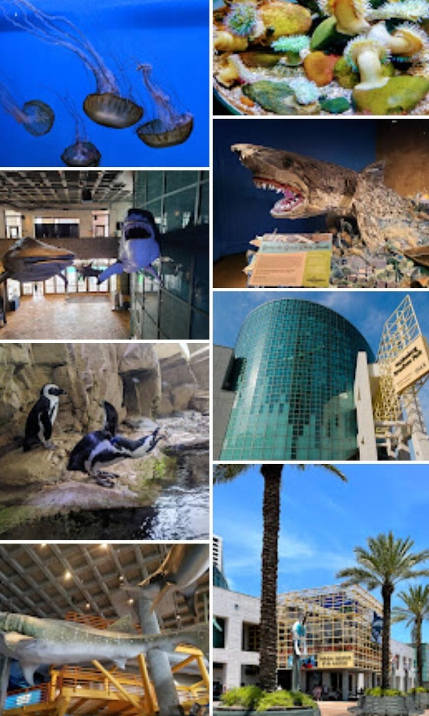Picture of Audubon Aquarium