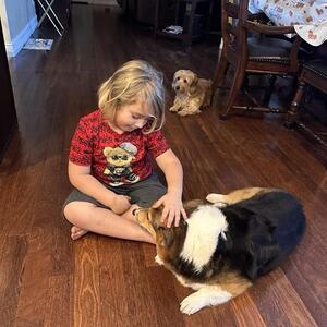 Gallery Photo 221