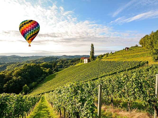 Picture of Hot air balloon ride over Tuscany